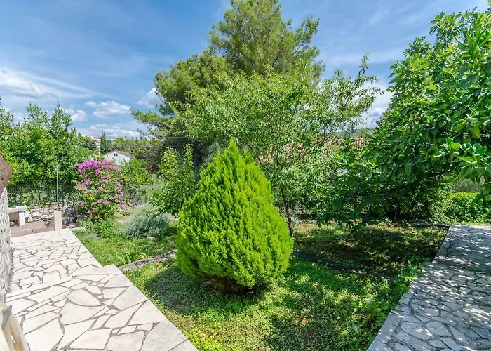 House Blanka تروغير